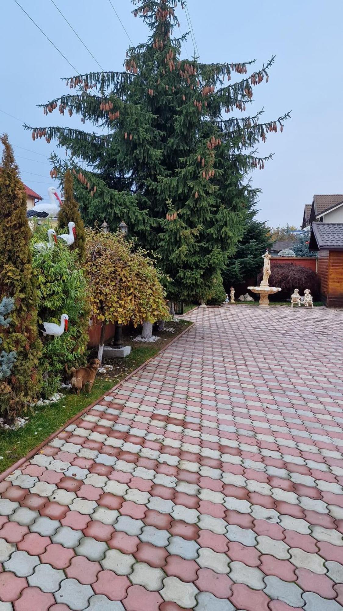 托马膳食公寓酒店 普洛耶什蒂 外观 照片